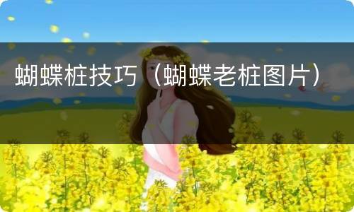 蝴蝶桩技巧（蝴蝶老桩图片）