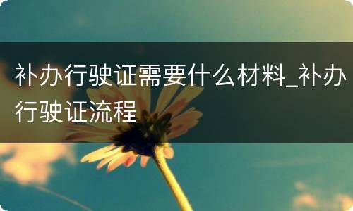 补办行驶证需要什么材料_补办行驶证流程