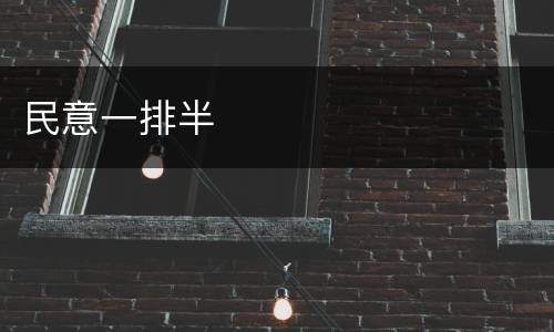 民意一排半