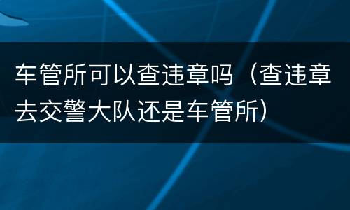 车管所可以查违章吗（查违章去交警大队还是车管所）