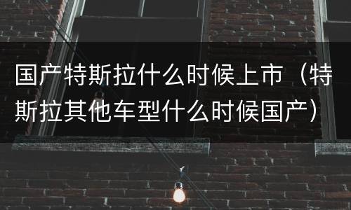 国产特斯拉什么时候上市（特斯拉其他车型什么时候国产）