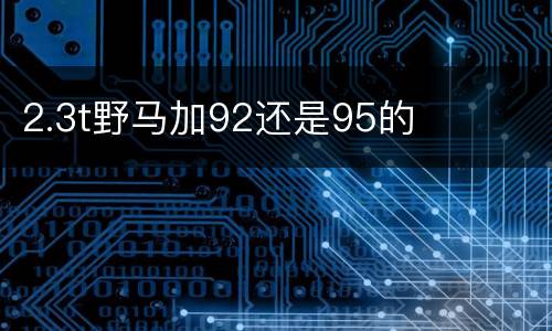 2.3t野马加92还是95的