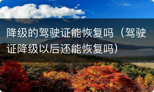 降级的驾驶证能恢复吗（驾驶证降级以后还能恢复吗）