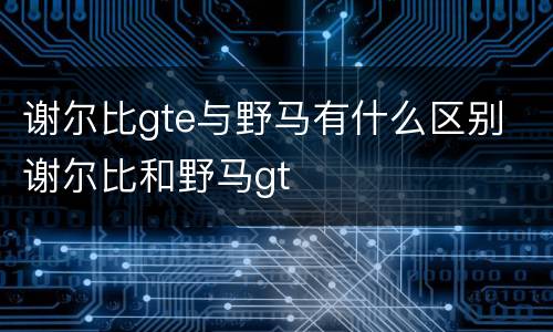 谢尔比gte与野马有什么区别 谢尔比和野马gt