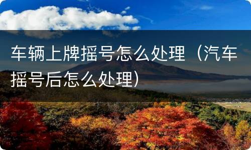 车辆上牌摇号怎么处理（汽车摇号后怎么处理）