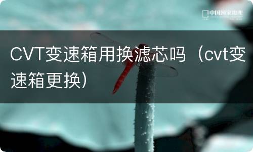 CVT变速箱用换滤芯吗（cvt变速箱更换）