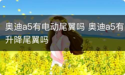 奥迪a5有电动尾翼吗 奥迪a5有升降尾翼吗