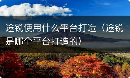 途锐使用什么平台打造（途锐是哪个平台打造的）