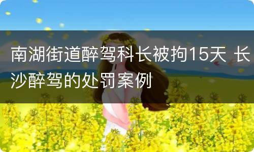 南湖街道醉驾科长被拘15天 长沙醉驾的处罚案例
