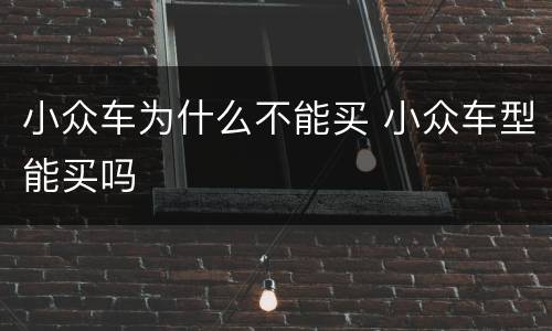 小众车为什么不能买 小众车型能买吗