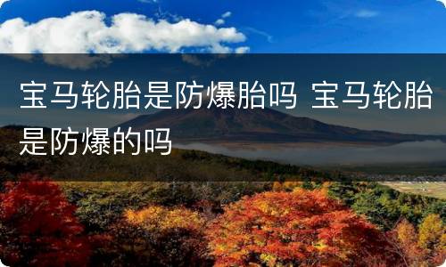 宝马轮胎是防爆胎吗 宝马轮胎是防爆的吗
