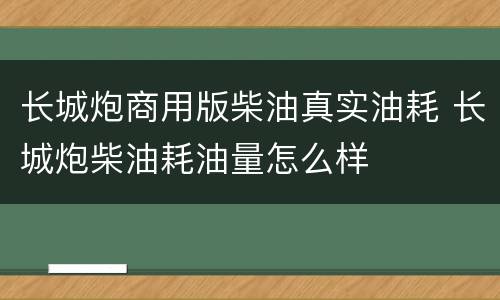 长城炮商用版柴油真实油耗 长城炮柴油耗油量怎么样