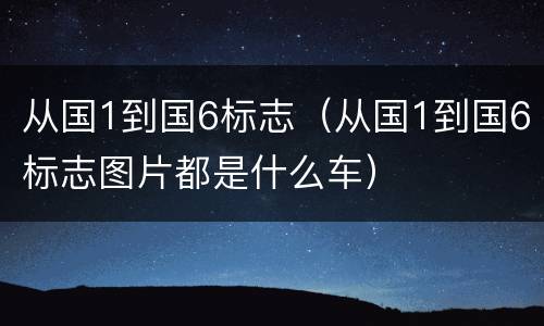从国1到国6标志（从国1到国6标志图片都是什么车）