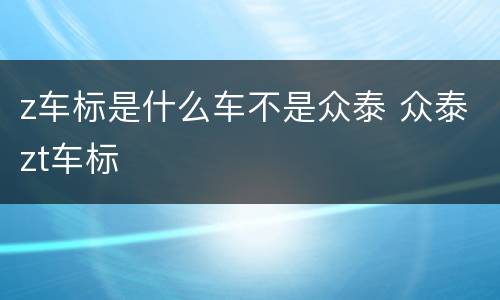 z车标是什么车不是众泰 众泰zt车标