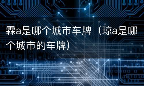 霖a是哪个城市车牌（琼a是哪个城市的车牌）
