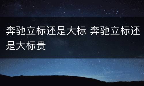奔驰立标还是大标 奔驰立标还是大标贵