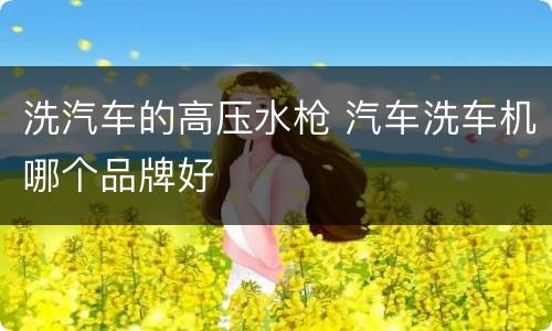 洗汽车的高压水枪 汽车洗车机哪个品牌好