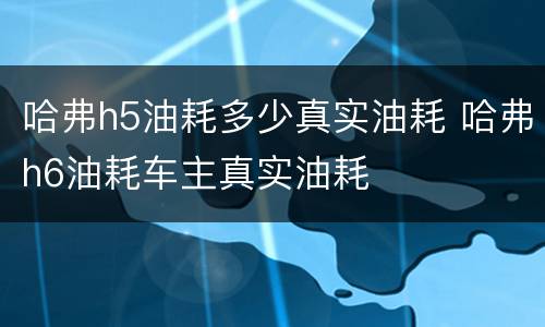 哈弗h5油耗多少真实油耗 哈弗h6油耗车主真实油耗