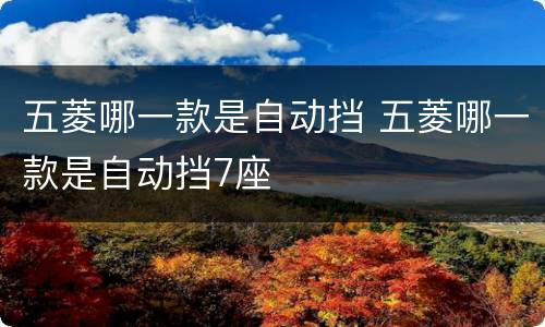 五菱哪一款是自动挡 五菱哪一款是自动挡7座