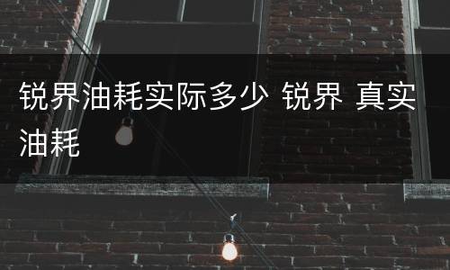 锐界油耗实际多少 锐界 真实油耗