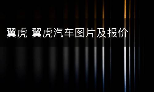翼虎 翼虎汽车图片及报价