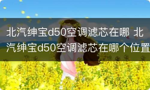 北汽绅宝d50空调滤芯在哪 北汽绅宝d50空调滤芯在哪个位置