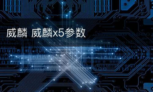 威麟 威麟x5参数
