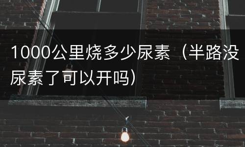 1000公里烧多少尿素（半路没尿素了可以开吗）