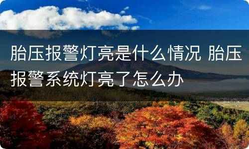 胎压报警灯亮是什么情况 胎压报警系统灯亮了怎么办