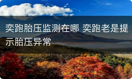 奕跑胎压监测在哪 奕跑老是提示胎压异常