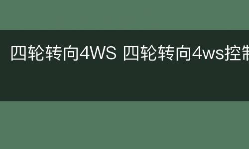 四轮转向4WS 四轮转向4ws控制