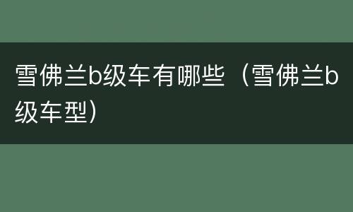 雪佛兰b级车有哪些（雪佛兰b级车型）
