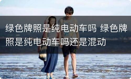 绿色牌照是纯电动车吗 绿色牌照是纯电动车吗还是混动