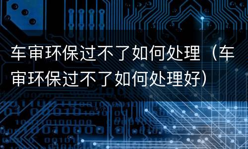 车审环保过不了如何处理（车审环保过不了如何处理好）