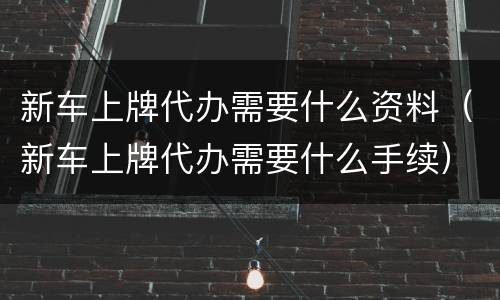 新车上牌代办需要什么资料（新车上牌代办需要什么手续）