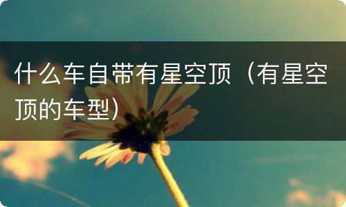 什么车自带有星空顶（有星空顶的车型）