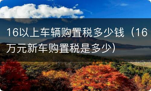 16以上车辆购置税多少钱（16万元新车购置税是多少）