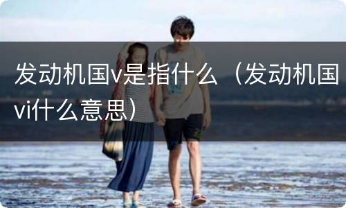 发动机国v是指什么（发动机国vi什么意思）
