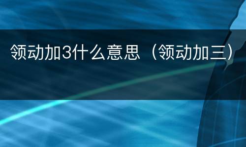 领动加3什么意思（领动加三）