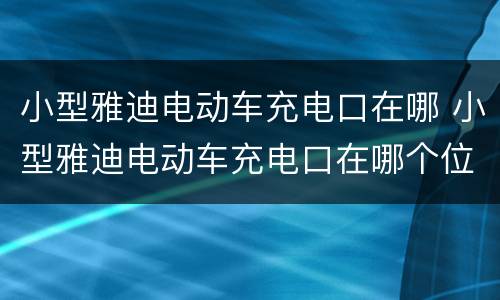 小型雅迪电动车充电口在哪 小型雅迪电动车充电口在哪个位置
