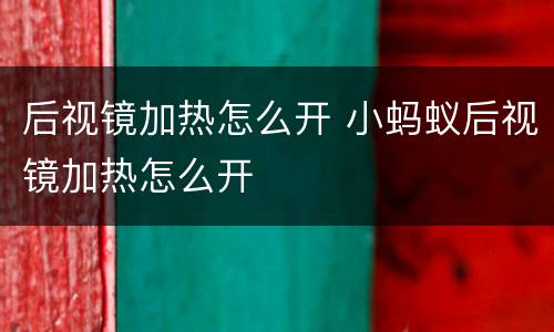后视镜加热怎么开 小蚂蚁后视镜加热怎么开