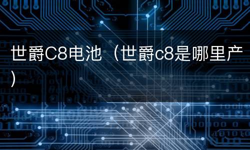 世爵C8电池（世爵c8是哪里产）