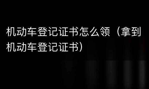 机动车登记证书怎么领（拿到机动车登记证书）