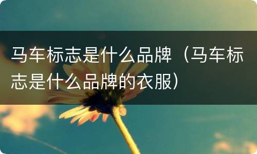 马车标志是什么品牌（马车标志是什么品牌的衣服）