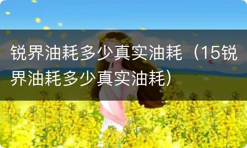 锐界油耗多少真实油耗（15锐界油耗多少真实油耗）