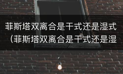 菲斯塔双离合是干式还是湿式（菲斯塔双离合是干式还是湿式）