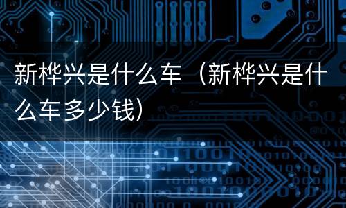 新桦兴是什么车（新桦兴是什么车多少钱）