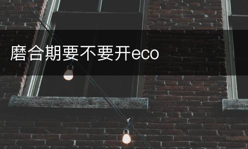 磨合期要不要开eco