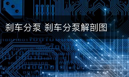 刹车分泵 刹车分泵解剖图