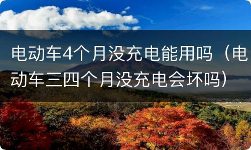 电动车4个月没充电能用吗（电动车三四个月没充电会坏吗）